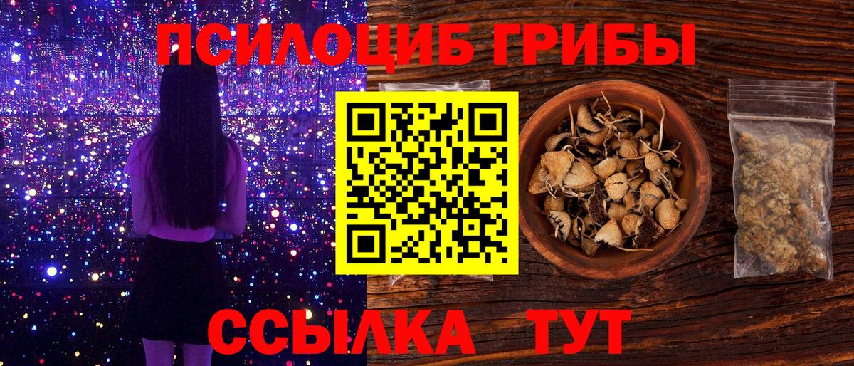 Переславль-Залесский  Псилоцибиновые грибы Magic Shrooms  Вход с VPN 